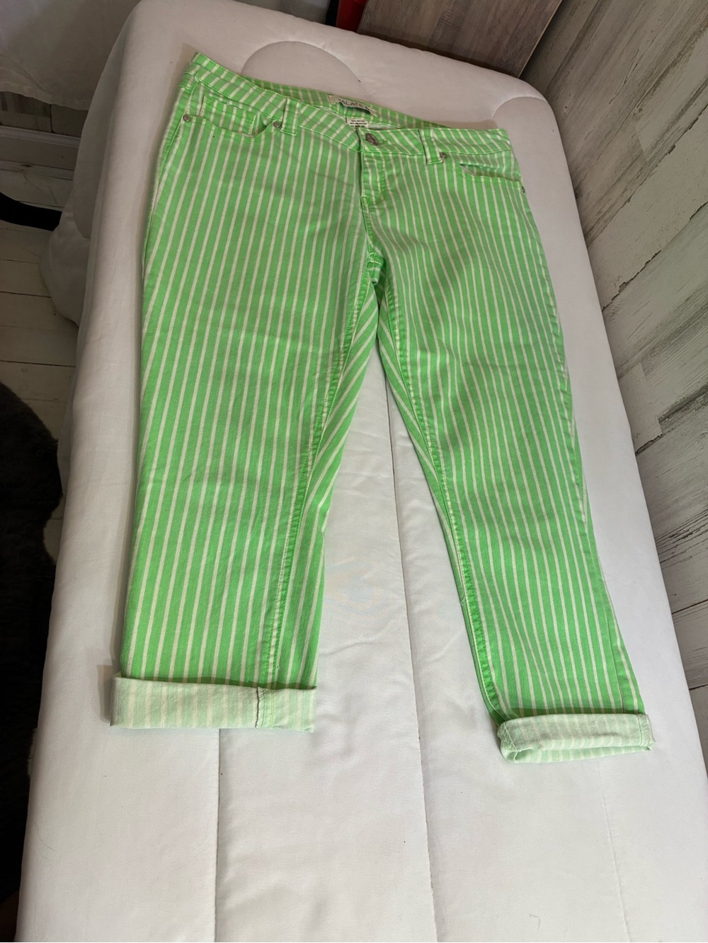 Striped Green Cropped Jeans - Slim Ankle Fit Jalate brand jr Sz 11